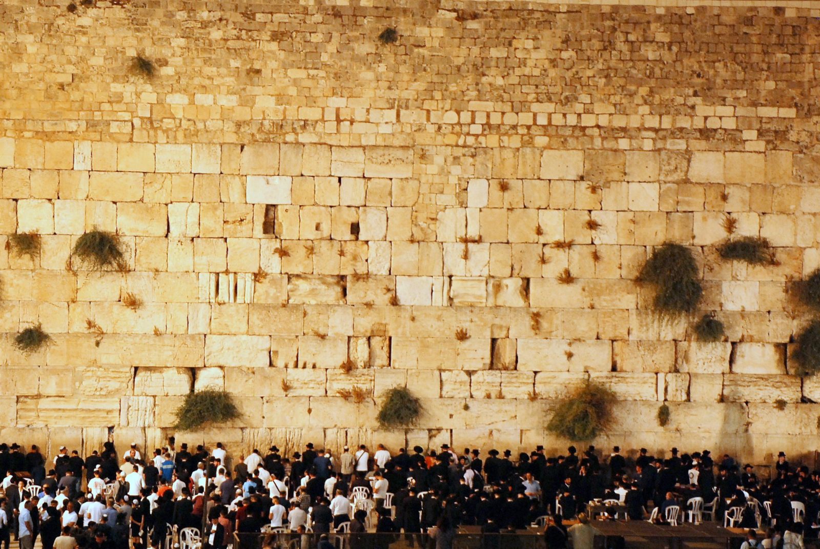 Photo attached to a reason: All the people praying at the western wall shows me that our belief is more alive than ever.